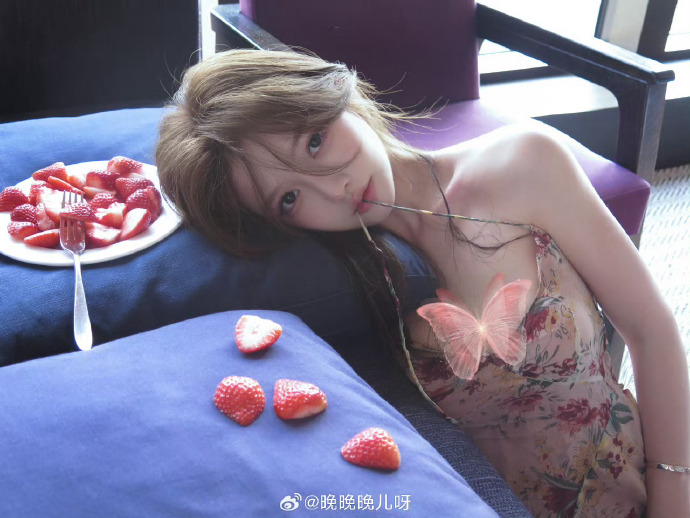 风骚律师